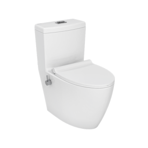 تصویر از نمای اصلی توالت فرنگی آنتوریوم چینی کرد