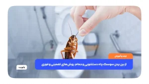 از بین بردن سوسک چاه دستشویی و حمام: روش‌های تضمینی و فوری