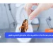 از بین بردن سوسک چاه دستشویی و حمام: روش‌های تضمینی و فوری
