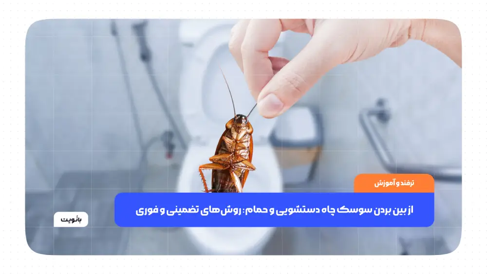 از بین بردن سوسک چاه دستشویی و حمام: روش‌های تضمینی و فوری